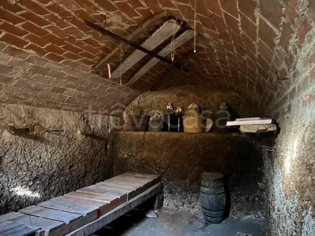 immagine annuncio 11 di 14
