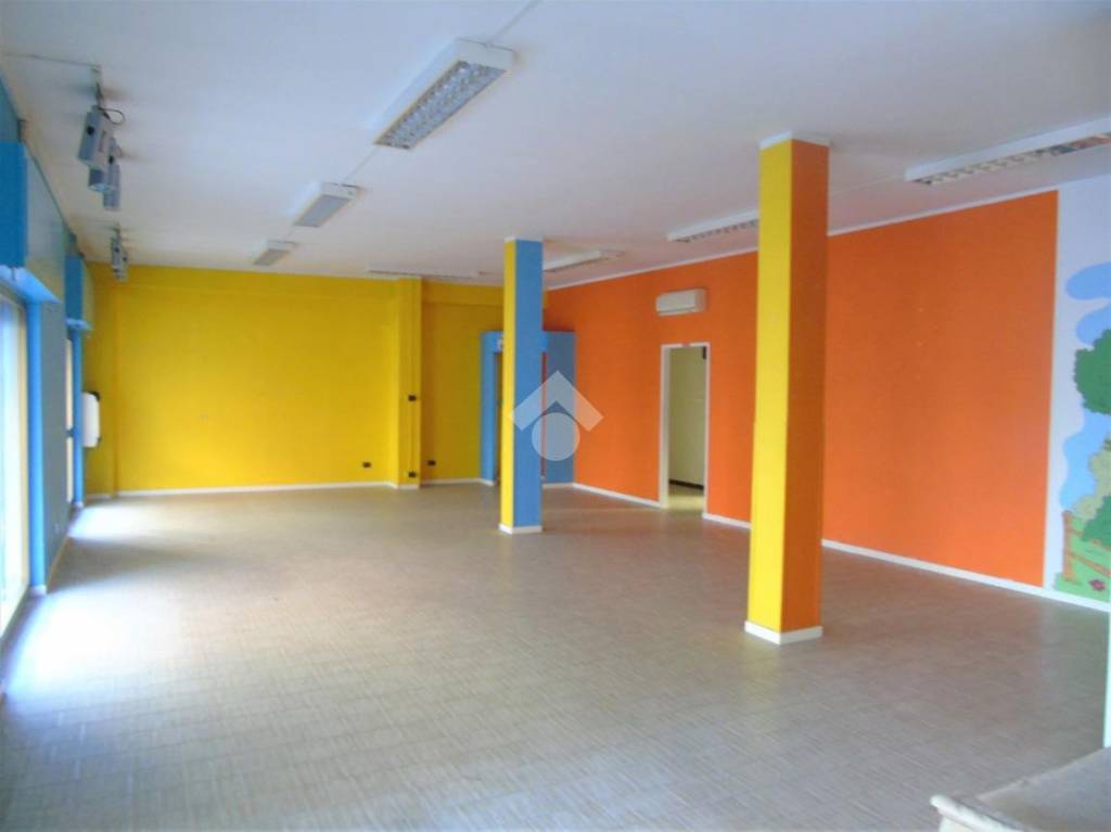 immagine annuncio 6 di 14