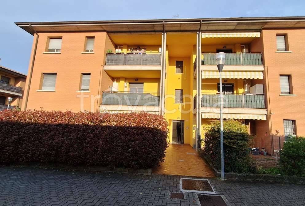 immagine annuncio 3 di 11