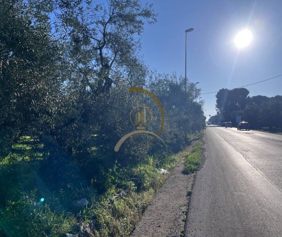 immagine annuncio 4 di 6