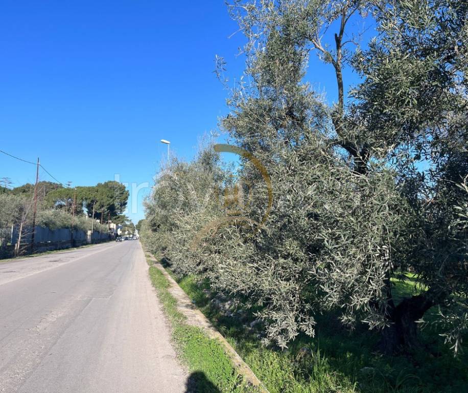 immagine annuncio 5 di 6