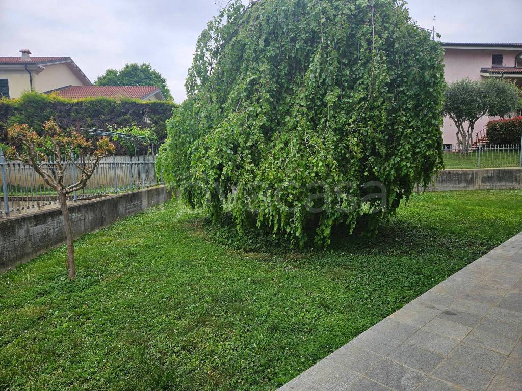 immagine annuncio 11 di 15