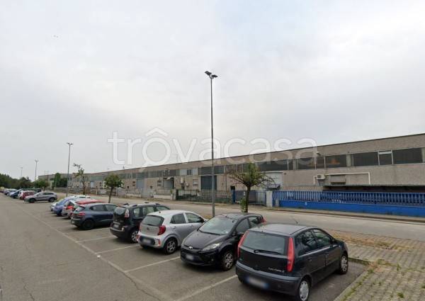 immagine annuncio 7 di 9
