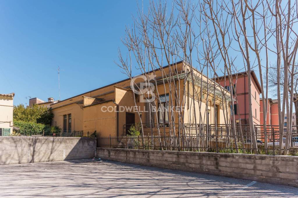 immagine annuncio 11 di 12
