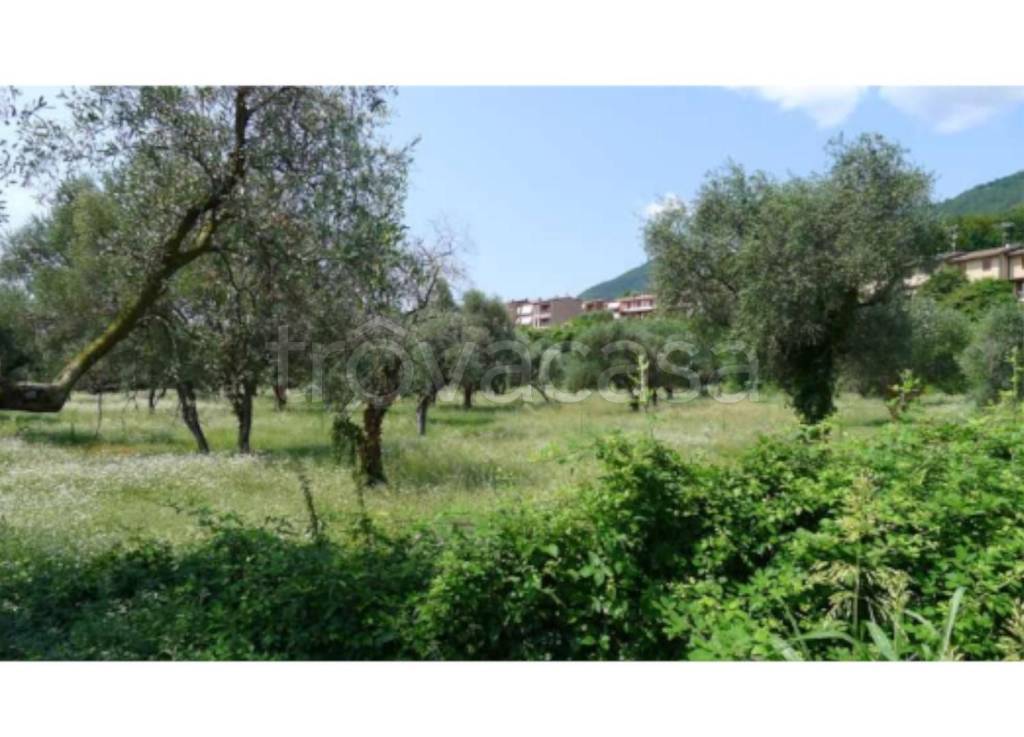 immagine annuncio 3 di 7