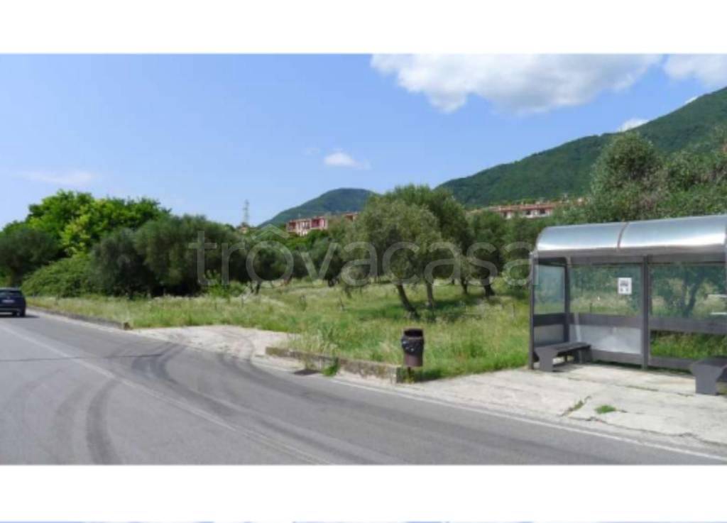 immagine annuncio 5 di 7