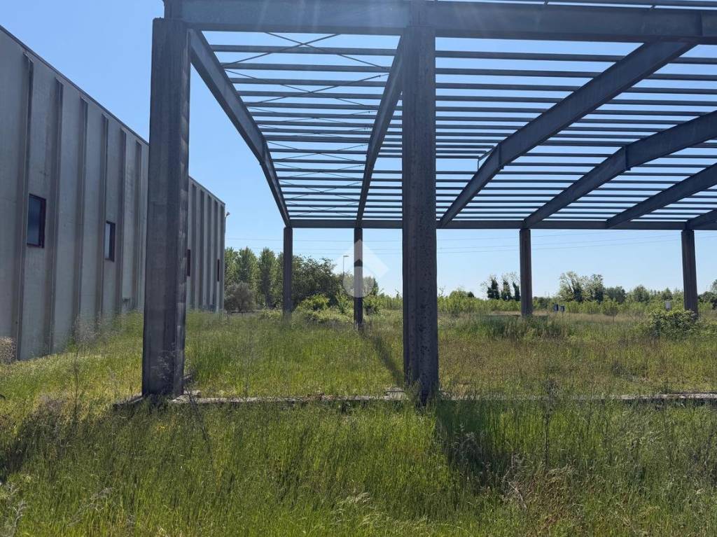 immagine annuncio 8 di 13