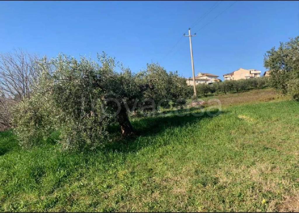 immagine annuncio 5 di 7