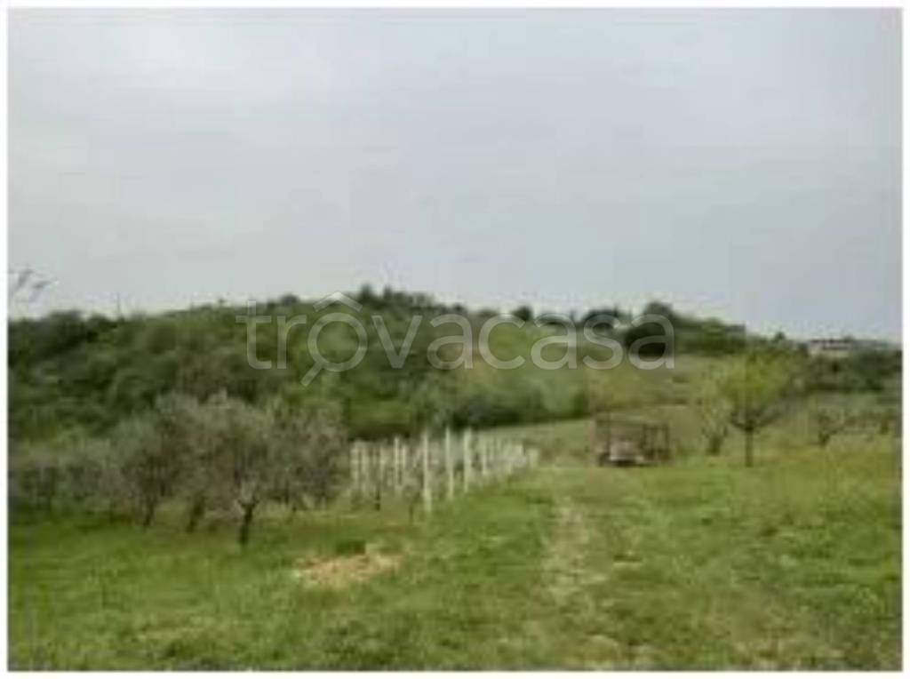 immagine annuncio 3 di 12