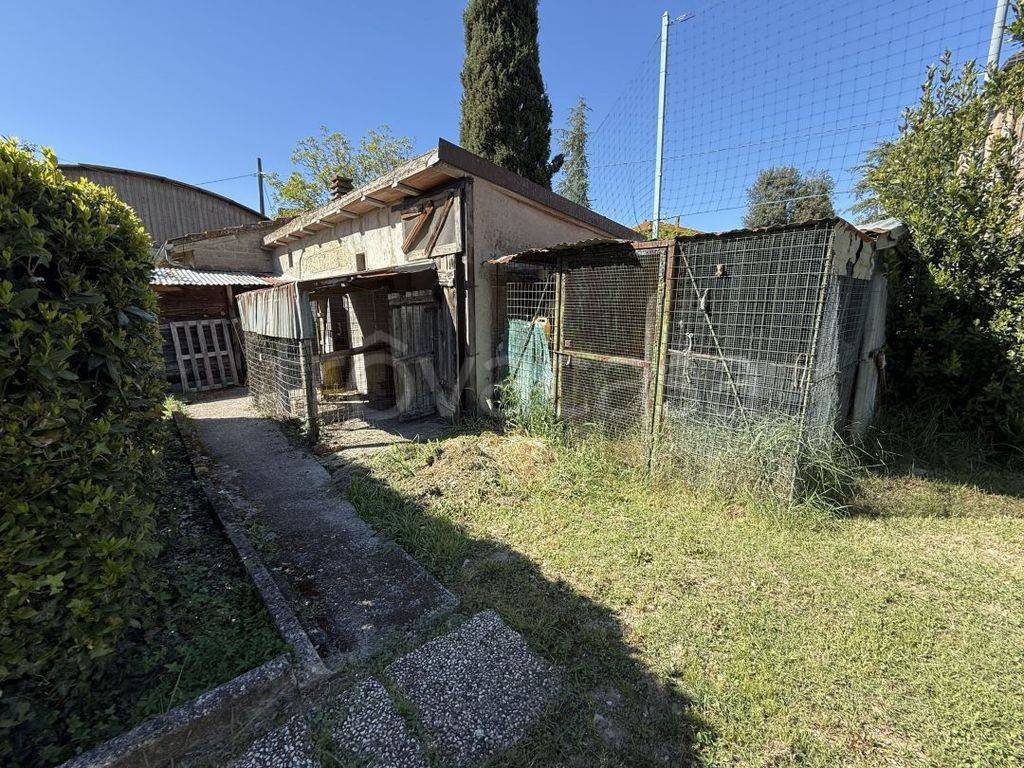 immagine annuncio 11 di 14