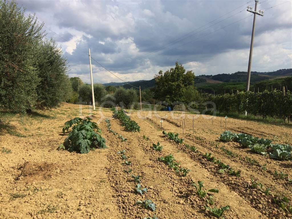 immagine annuncio 4 di 8