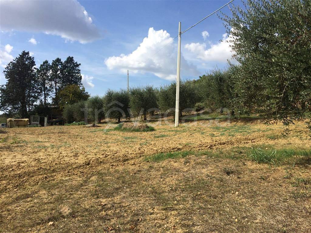 immagine annuncio 6 di 8