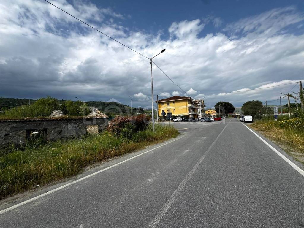 immagine annuncio 5 di 6