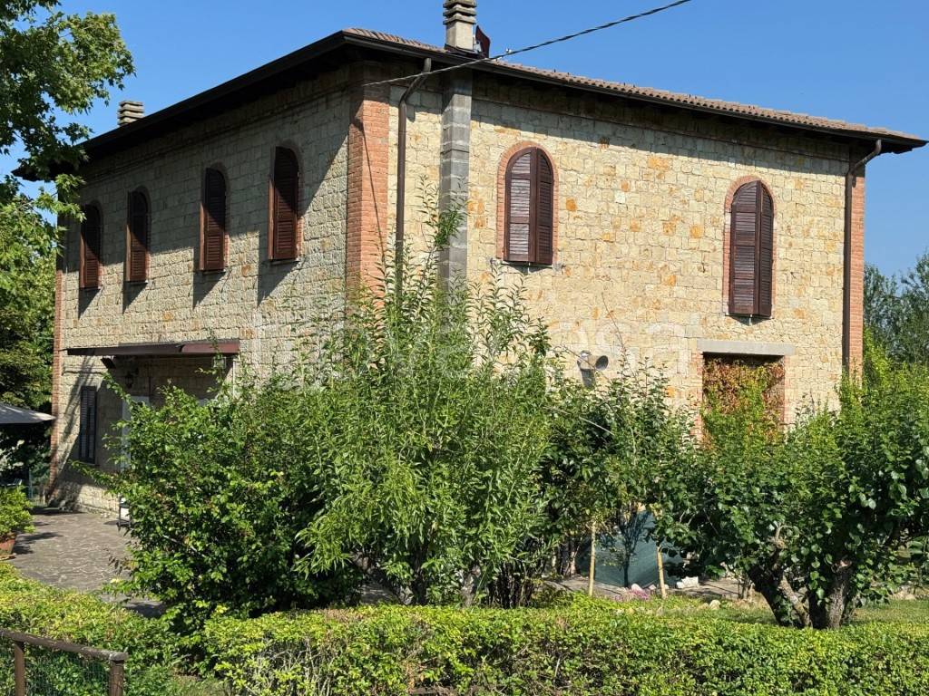 immagine annuncio 3 di 8