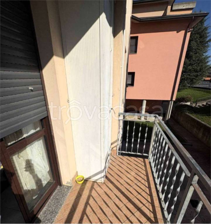 immagine annuncio 5 di 11