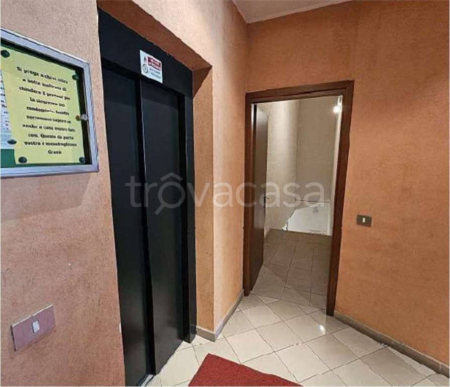 immagine annuncio 9 di 12
