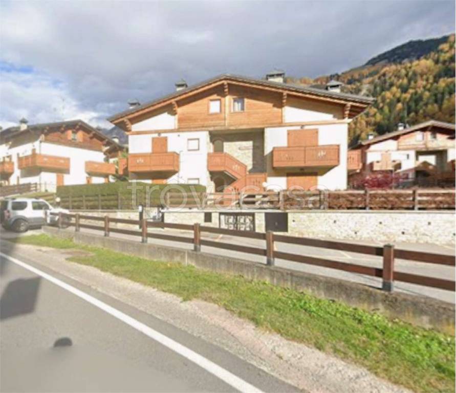 immagine annuncio 2 di 14