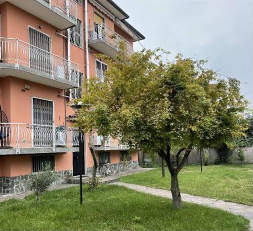 immagine annuncio 6 di 14