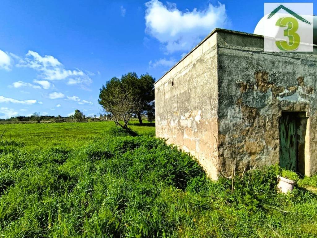 immagine annuncio 1 di 11