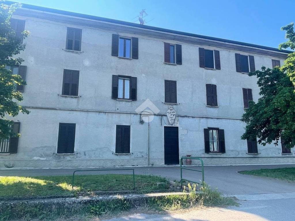 immagine annuncio 12 di 14