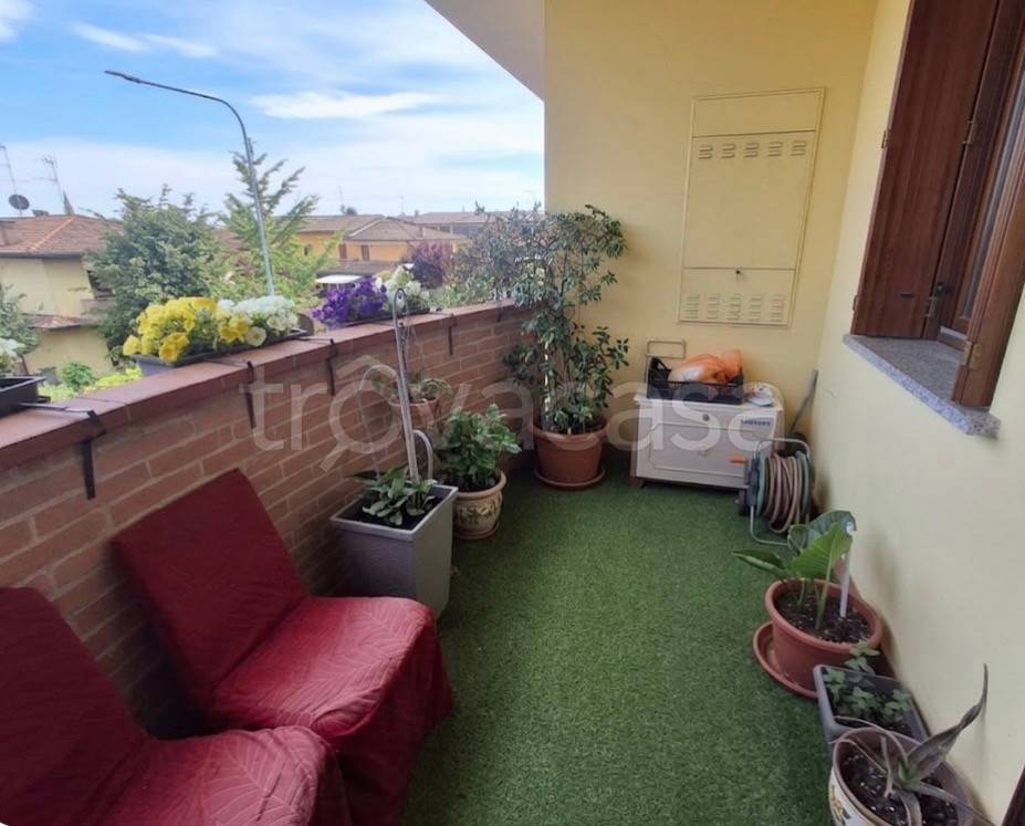 immagine annuncio 9 di 15