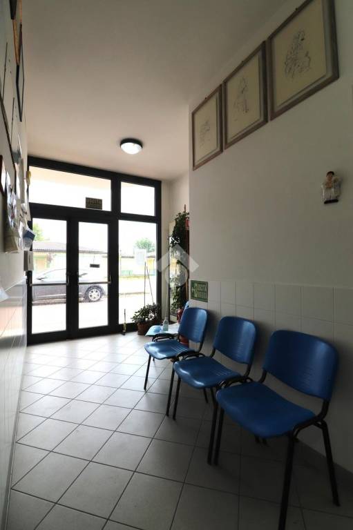 immagine annuncio 2 di 12
