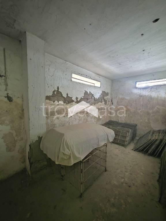 immagine annuncio 6 di 13