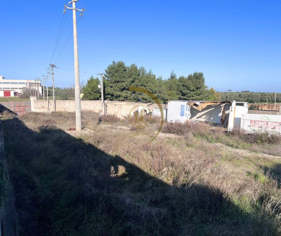 immagine annuncio 6 di 7