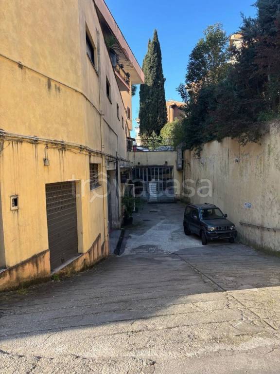 immagine annuncio 12 di 13