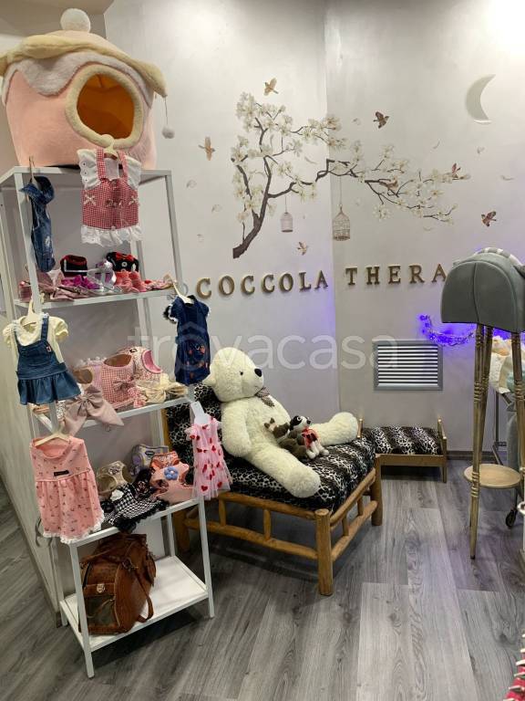 immagine annuncio 3 di 4