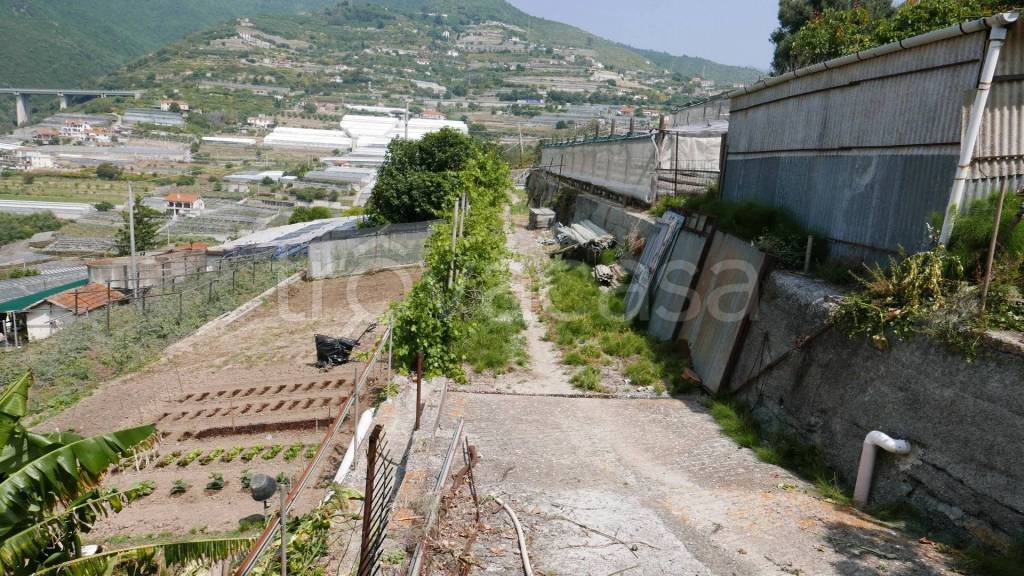 immagine annuncio 2 di 6
