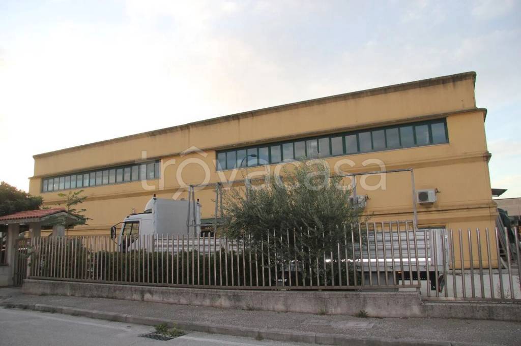 immagine annuncio 6 di 9