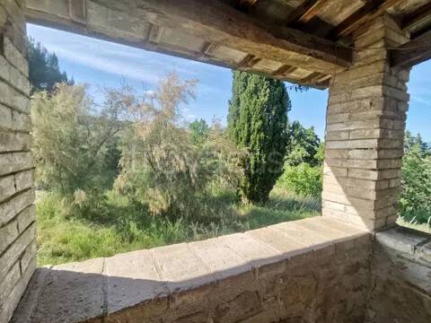 immagine annuncio 7 di 14