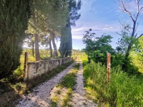 immagine annuncio 9 di 14