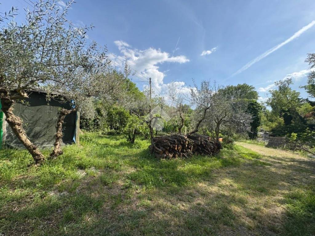 immagine annuncio 2 di 14