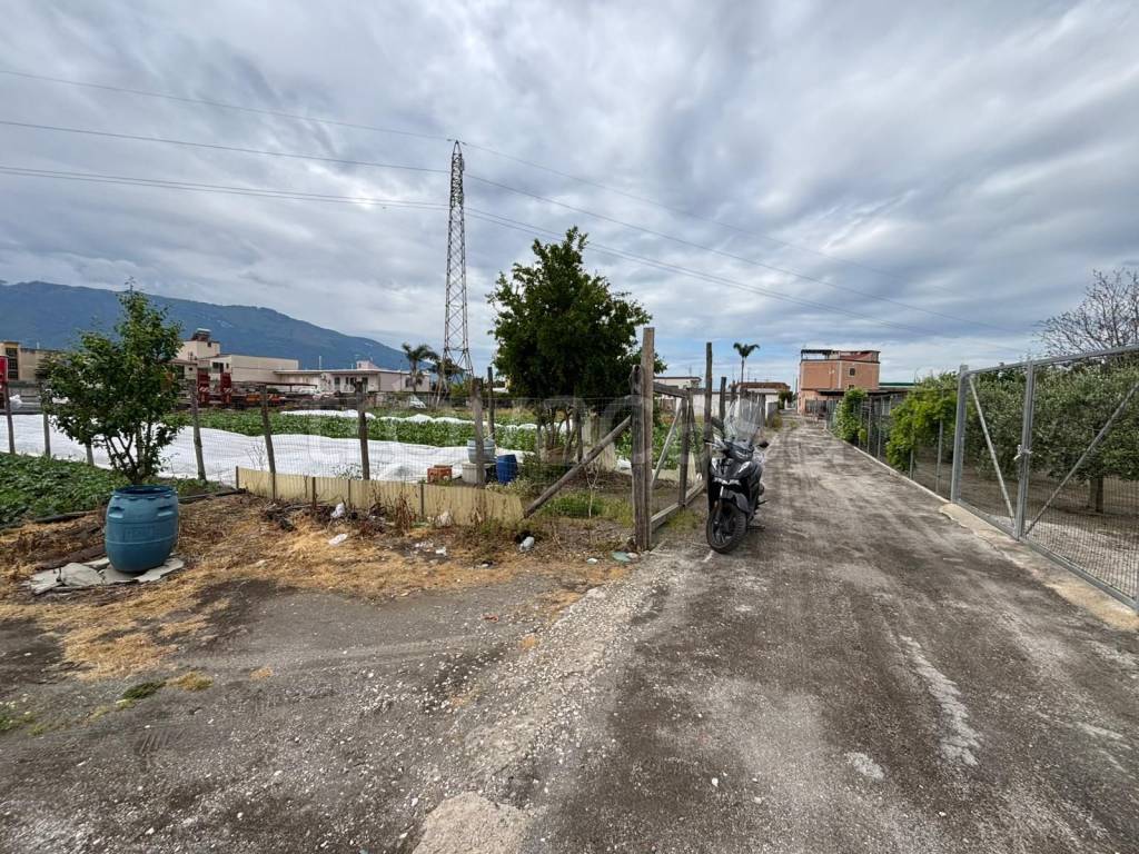 immagine annuncio 3 di 7
