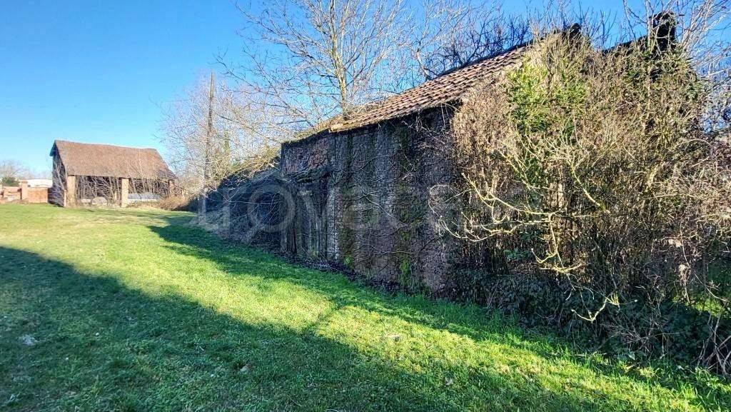 immagine annuncio 10 di 15