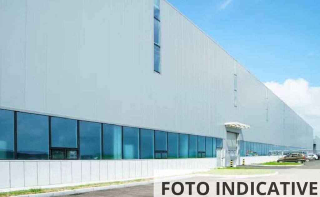 immagine annuncio 3 di 7