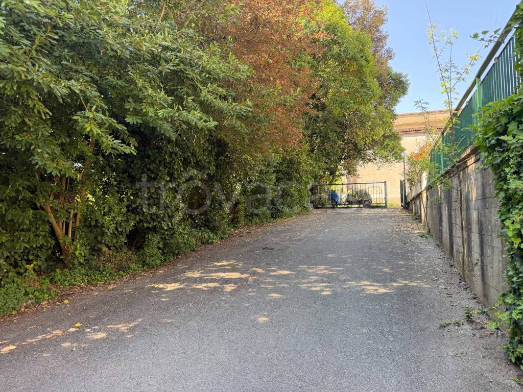 immagine annuncio 11 di 14
