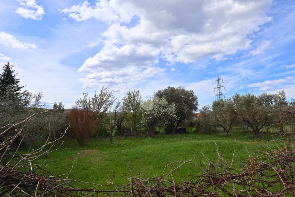 immagine annuncio 3 di 11