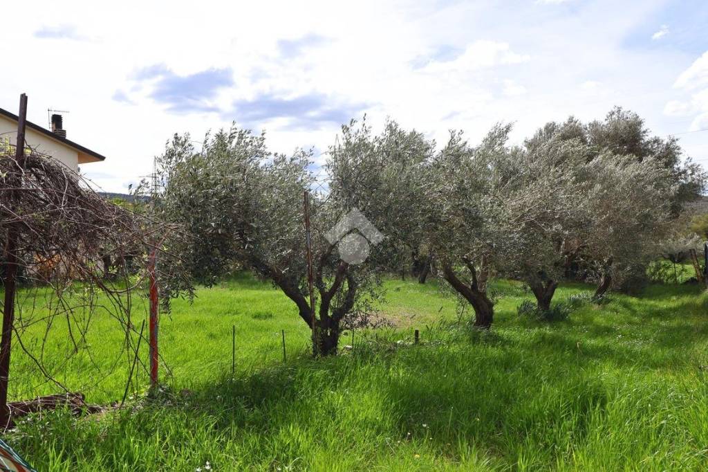 immagine annuncio 6 di 11