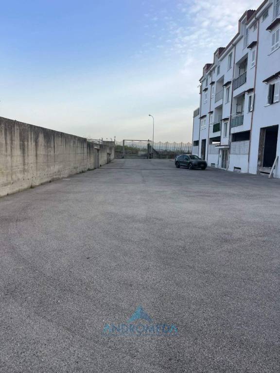 immagine annuncio 9 di 12