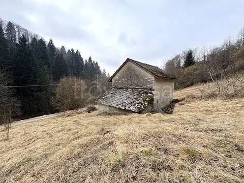 immagine annuncio 5 di 8