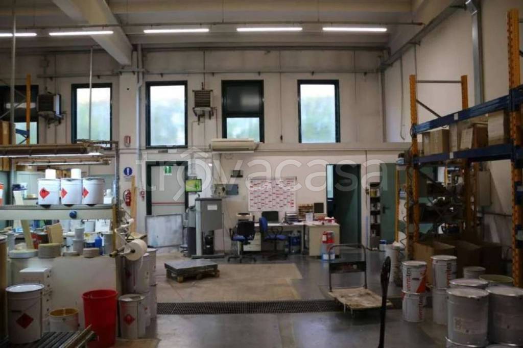 immagine annuncio 4 di 13