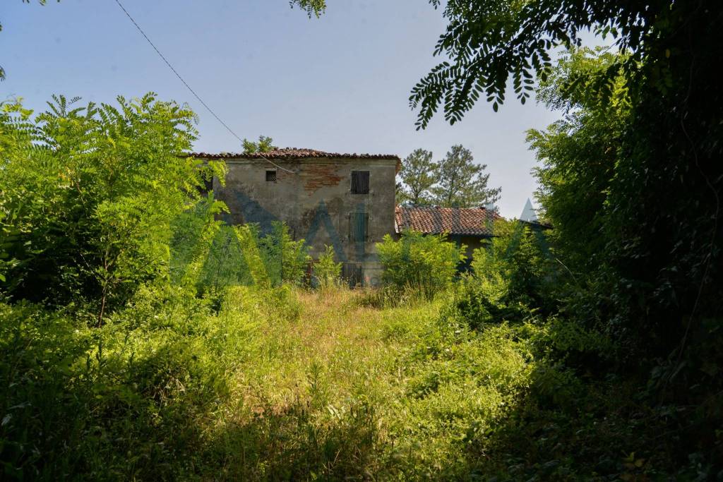immagine annuncio 3 di 8