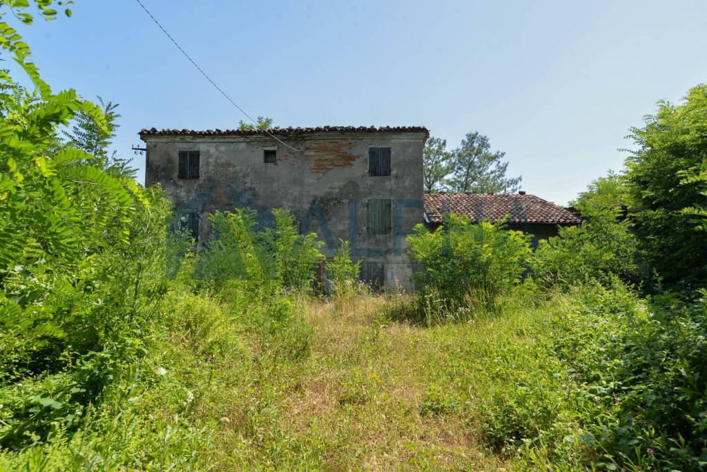 immagine annuncio 2 di 8