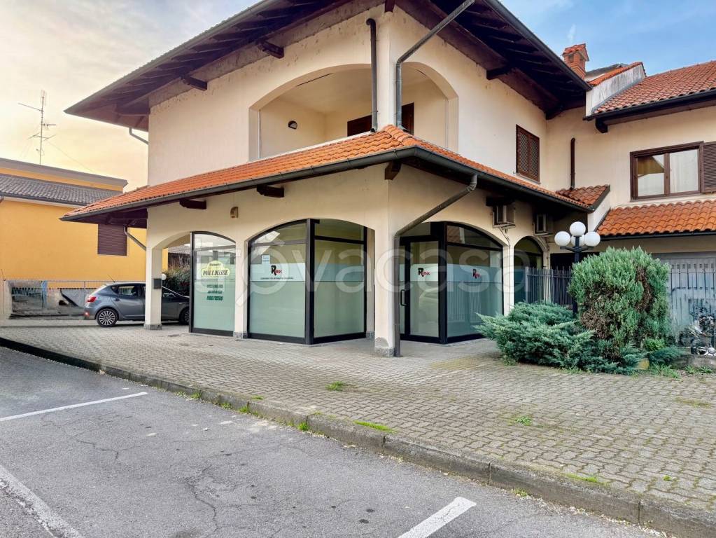 immagine annuncio 6 di 11