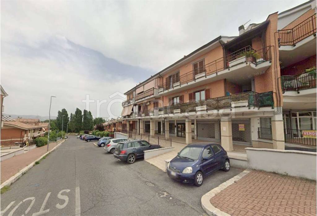 immagine annuncio 2 di 6