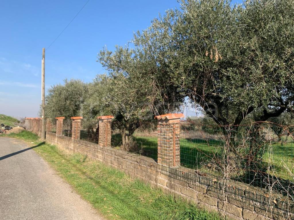 immagine annuncio 2 di 9