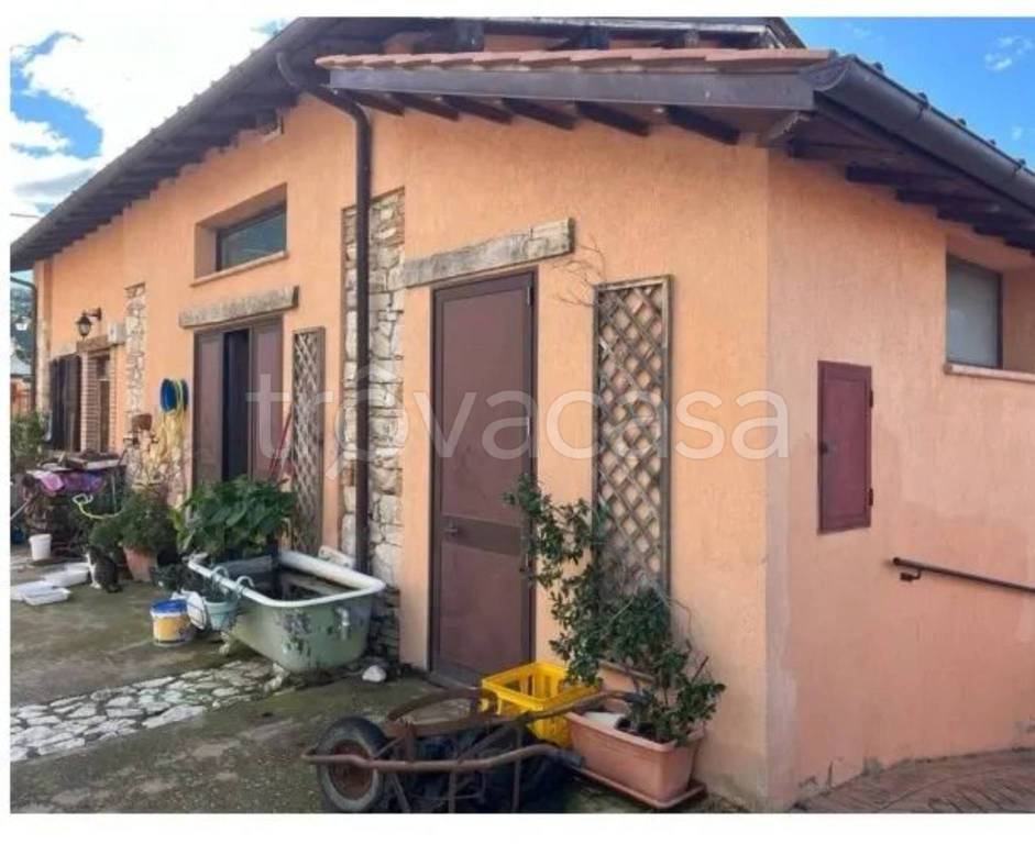 immagine annuncio 5 di 12